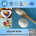 newest gellan gum for quince pudding